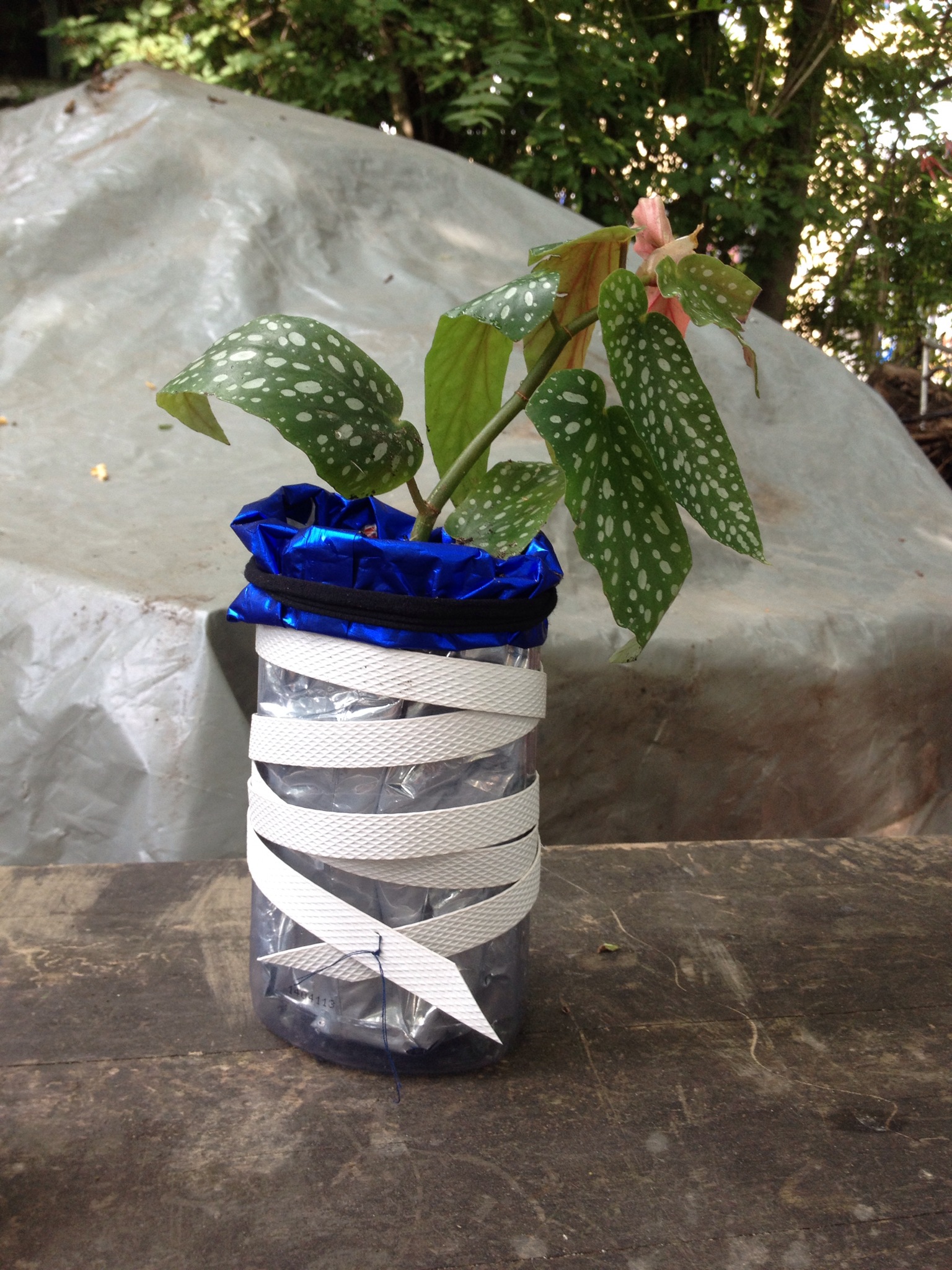 Flower pots from plastic waste - Creative Green Life